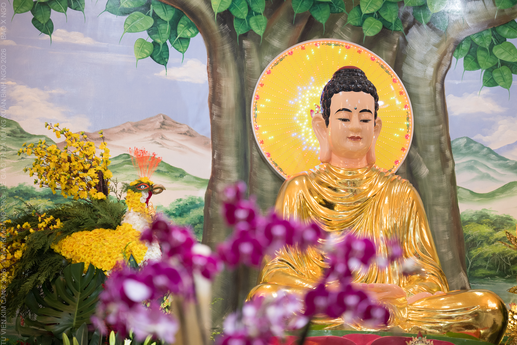 No description available